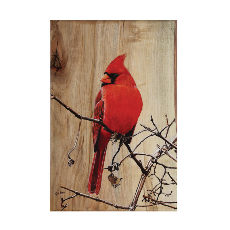 «Kyzin Regal Cardinal On Canvas» par Jim Brune, reproduction, H 19 po x l 12 po x P 2 po