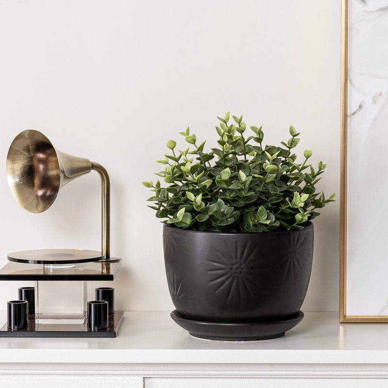 Matte Black Indoor Flower Ceramic Planter Pot