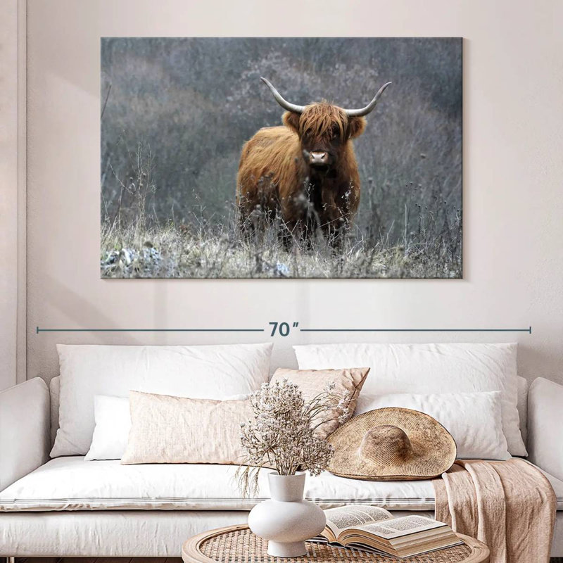 Vache Highland Brampt, H 34 po x l 51 po