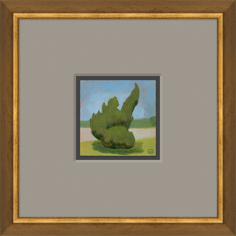 «Shrubbery In Rodanthe - Petit»