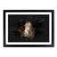 Brown Horse in the Shadows - Picture Frame Painting Print-56855446-56855448