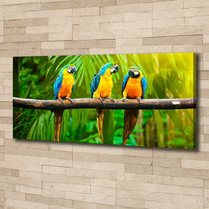 Parrots On The Branch - No Frame Print on Canvas