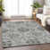 Premium Machine Washable Prisco Gray Rug