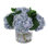 Hydrangeas In A Vase