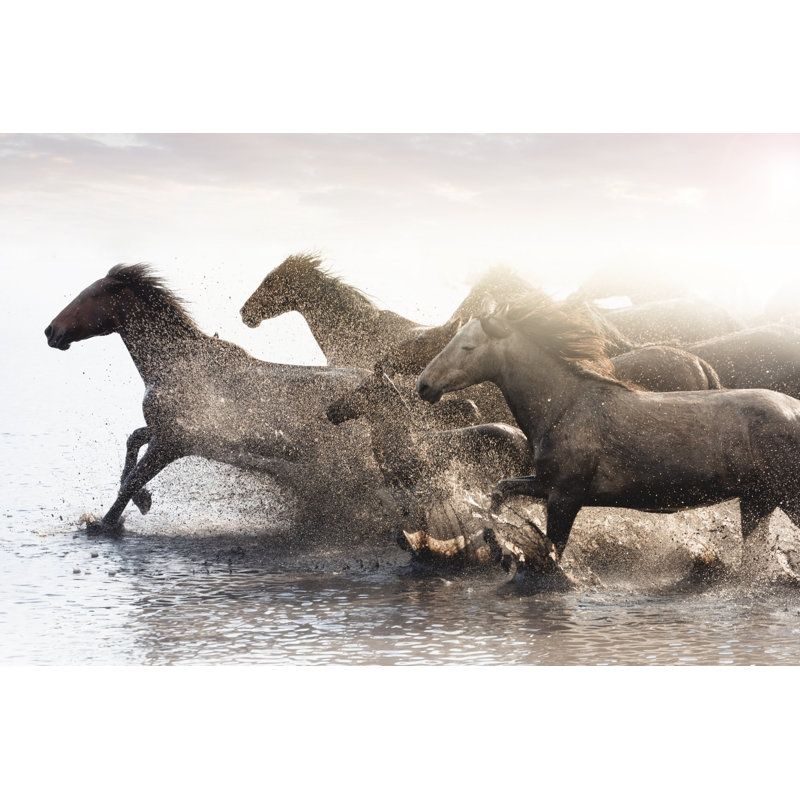 Herd of Wild Horses Running in Water 1 Piece Wrapped Canvas Wall Art, 81cm H x 122cm W x 3.8cm D