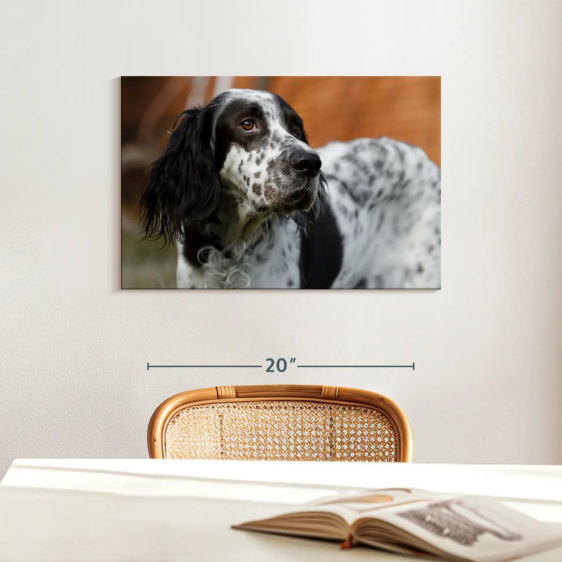 Crowle Spotted English Setter