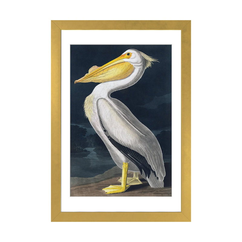 Pelican_1PFA, Cadre doré