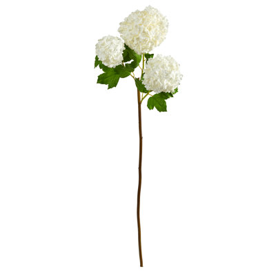 Hydrangea Arrangement