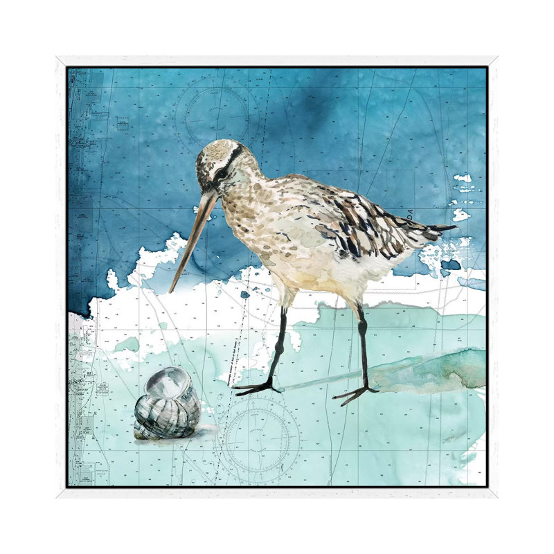 Bay Shore Sandpiper II 1 Piece Wall Art on Canvas, 66.04 cm H x 66.04 cm W, White Framed
