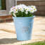 Dinardo Planter-2090435784-2090435789