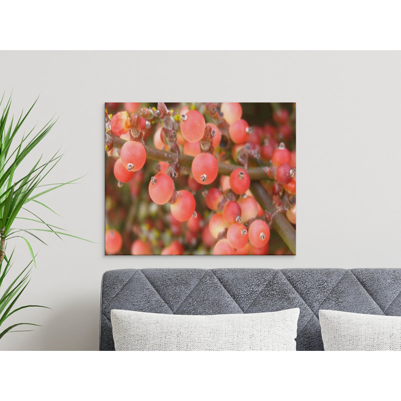 Wrapped Canvas Print Set, 16x12