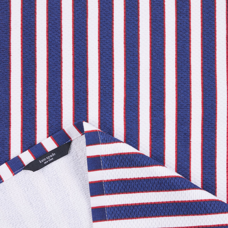Modern Cotton Striped Red and Blue Kitchen Towel Set of Four