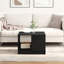 Coffee Table with Storage