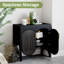 Buffet décoratif 2 portes Lenord (l 31,5 po)-1964219477
