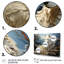 «Wolf Watch In Winter Patchwork II», reproduction d'art sur toile-2016988035-2016988094
