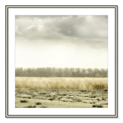 Henri "Meadowland" Print by Danita Delimont
