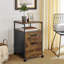 Brixton 41 cm W 2 -Drawer Filing Cabinet-372937154