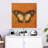 Crowle Apricot Butterfly-111886871