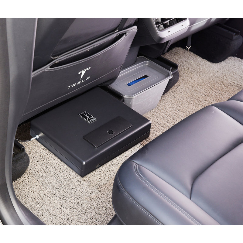 Portable Biometric Gun Safe, Pop-Up Lid