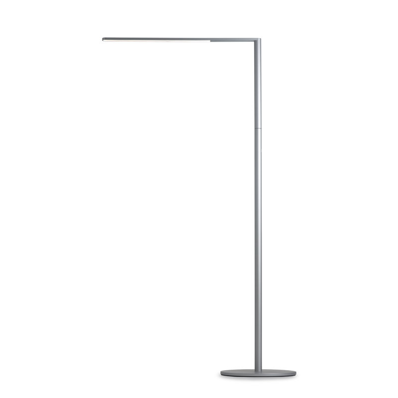 Lady7 52.05'' Dimmable LED Floor Lamp, Silver