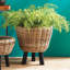 Cunha Faux Fern Plant in Pot