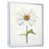 Cadre flottant blanc