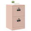 Storage Cabinet-131504596