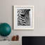 Zebra Colt - Photographie avec cadre photo-1635737486-1635583822