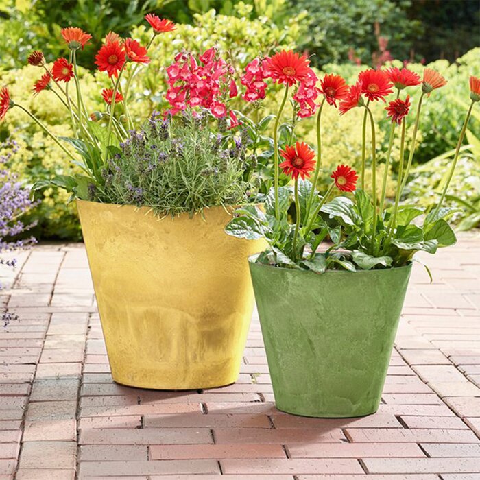 Foundry Select Carrero Pot Planter & Reviews | Wayfair