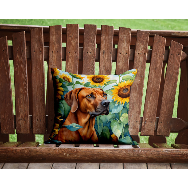 Coussin décoratif intérieur / extérieur Autre / Sans motif, H 14 po x l 14 po