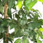 Ficus artificiel 72 po en pot