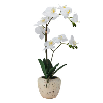 22 in. Realistic Artificial Orchid with Decorative Pot