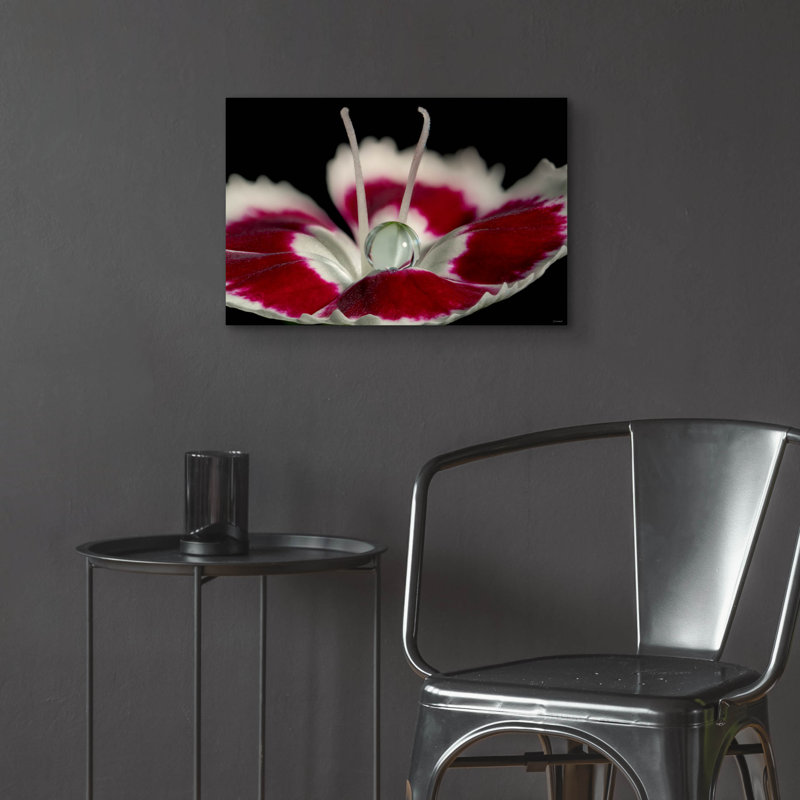 «Macro Flowers 12» par Gordon Semmens, H 16 po x l 24 po x P 0,2 po