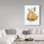 «Pumpkin and Vines II», reproduction d'impression sur toile tendue-33413774
