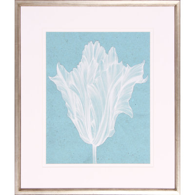 Monochrome Tulip V Print by Goldberger