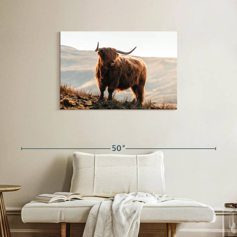 Brampt Isle of Skye Highland Cow