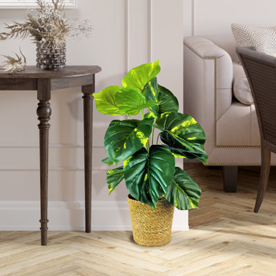 30'' Faux Pothos Plant in Wicker/Rattan Basket