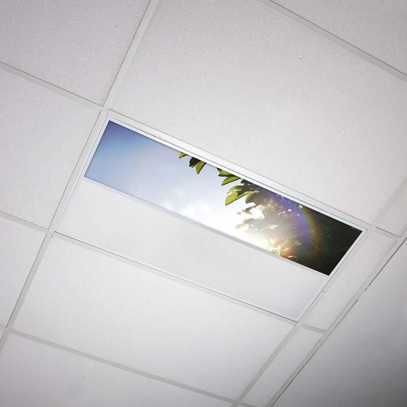 Tree Rectangle Fixture Component Ceiling Light