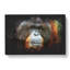 Orangutan Monkey Vol.1 - Wrapped Canvas-61877593