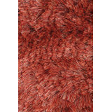 Naya Area Rug in Rust
