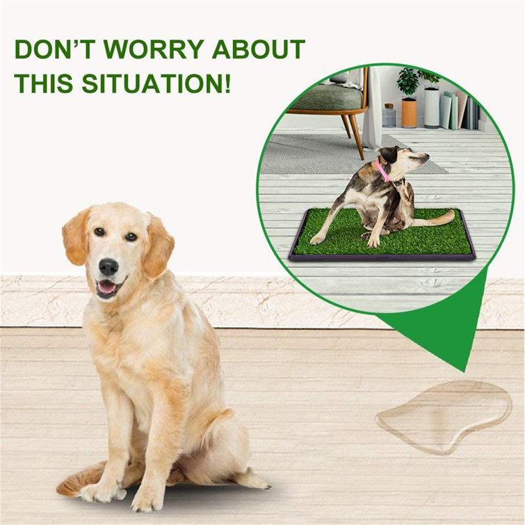 https://assets.wfcdn.com/im/78613492/resize-h755-w755%5Ecompr-r85/2315/231543018/Artificial+Grass+Dog+Pee+Pads%2C+Indoor%2FOutdoor+Use+Professional+Pet+Potty+Training+Toilet+Grass+Mat+For+Puppy+And+Small+Pets+Potty+Trainer.jpg
