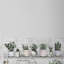 Impression encadrée « indoor succulents »-50107198
