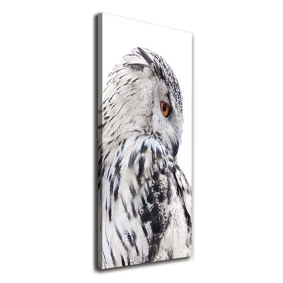 White Owl - Wrapped Canvas Print