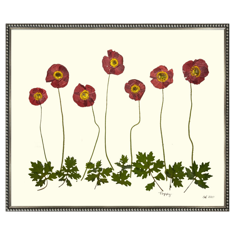 Poppy Garden Print by Sandy Whitaker, 21.25" H x 25.25" W, Silver