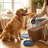 17.53"H Pet Food Storage Container(Blue)