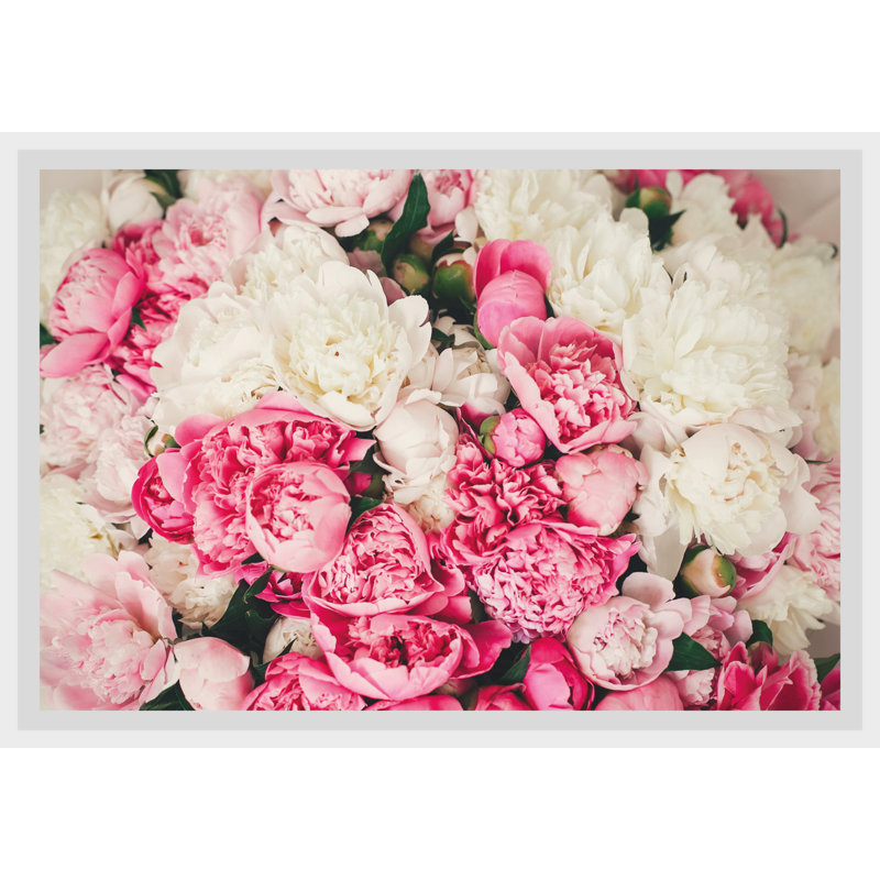 Rose - Single Picture Frame Print