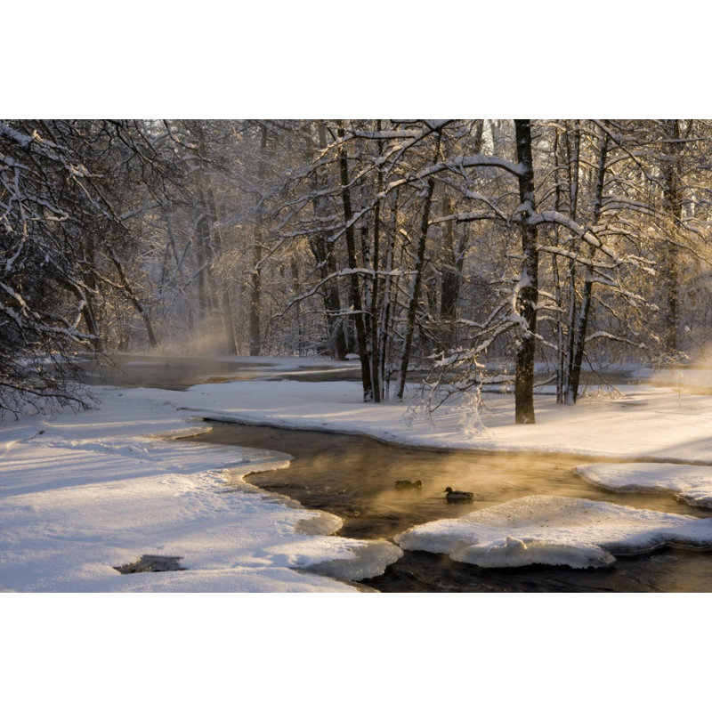 Wrapped Canvas Print, 50.8 cm H x 76.2 cm W