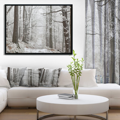 «Forest Trail on Winter Morning», reproduction de photo sur toile