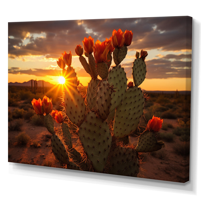 Champ de cactus rouge et vert avec coucher de soleil III - impression, H 24 po x l 32 po x P 1 po, Toile tendue