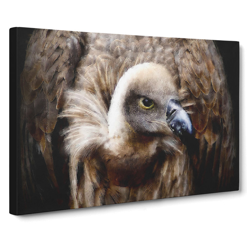 Vulture Vol.2 - Wrapped Canvas, 40cm H x 60cm W x 3cm D